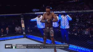 With tenor, maker of gif keyboard, add popular israel adesanya animated gifs to your conversations. Anime Naruto Gif Anime Naruto Israeladesanya Discover Share Gifs