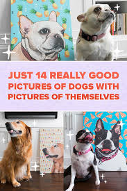 Pin By Buzzfeed On All About Pets Dog Pictures Cute Animals Dogs