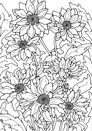 Free printable chrysanthemum 1 coloring page for kids to download, flowers coloring pages Pin On Flower Coloring