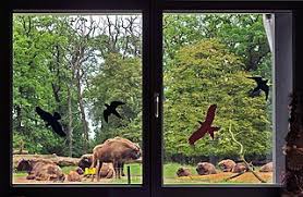 Häuser zum kauf in heinz verzeichnet auf einer landkarte mit lokalinformation zu heinz. File Blick Aus Dem Heinz Sielmann Haus In Das Wisentgehege Springe Jpg Wikimedia Commons