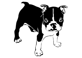 These images are designed as 8.5 x 11 prints. Coloring Page Dog French Bulldog Free Printable Coloring Pages Img 27821