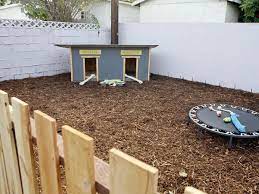Dog Run Area Backyard Dog Area Pet Friendly Backyard Dog Backyard