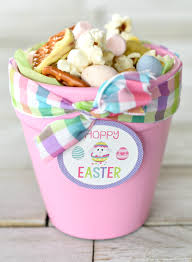 And do you know, what. Cute Easter Gift Ideas Hoppy Easter Bunny Pots Fun Squared