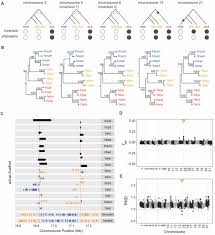 Изучайте релизы jamie jones на discogs. Synteny Based Genome Assembly For 16 Species Of Heliconius Butterflies And An Assessment Of Structural Variation Across The Genus Biorxiv