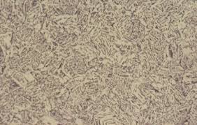 Image result for bulat steel micrograph