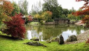 Рейтинг лучших 97 на основе 723 отзывов. Oboi Dlya Rabochego Stola Japanese Garden Hasselt Belgiya Priroda Sady