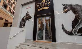 Josie, has been at this location for many years. Full Grooming Mesho Pet Grooming Salon Groupon