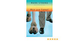 If it was not there, you must ride. Man And Camel Poems Amazon De Strand Mark Fremdsprachige Bucher