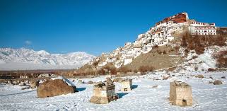 While it is important to secure their key habitats through protected areas, it simply isn't enough. This 14 Day Adventure Promises To Bring You Beauty And Excitement As You Search The Mountains Of India For The Elusive Snow Leopard Indulge Your Senses In Majestic Mountain Views And Vibrant Valley Vistas