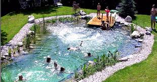 Mike merchant, sonja swiger, and steve presley. How To Build Your Own Natural Swimming Pool