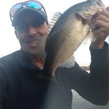 Harwood's Mill Reservoir VA Fishing Reports, Maps & Hot Spots