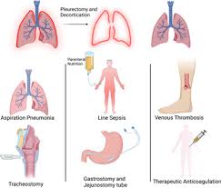 Image result for Pleiotaxis