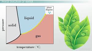 Some of the worksheets for this concept are phase change simulation work, , work phase diagrams, calculations for temperature and phase change work, , name principles of matter, phase diagram work, review problems on phase diagrams example 1. Phase Diagram Of Water Vs Other Substances Differences Meaning Video Lesson Transcript Study Com