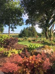 Maybe you would like to learn more about one of these? Home David Perry Gardens