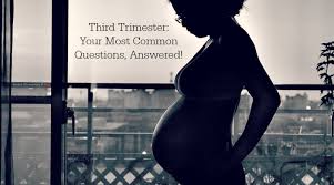 Unduh lalu mainkan download game rapelay apk tahap terbaru full version cuma di wesbite apkcara.com, tempatnya aplikasi, game, tutorial dan berita seputar android terpopuler. Third Trimester Checklist And Questions Answered Bydevan