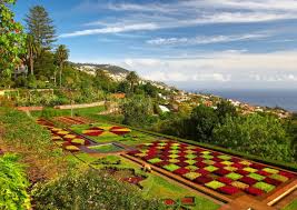 Wartete madeira auf die eröffnung eines botanischen gartens, ein traum, der sich 1960 erfüllte. Madeira Garten Levadas Und Kustenerlebnisse