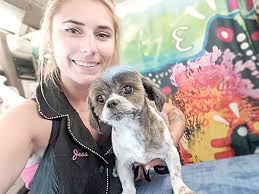 62 survivors find brighter days at north shore animal league america. 60 Dogs Rescued From Belford Home Puppy Mill Two River Times