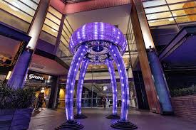 The capital city of canberra today is a living embodiment of the nation's quickly evolving arts, architecture and cultural scenes. 33 Things To Do See Eat On Canberra Regions Road Trip Itinerary