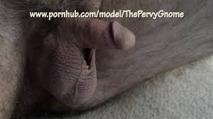 Ball Crawl - маленький член в состоянии покоя с яйцами, движущимися сами по  себе