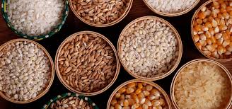 Founded in 1975, msi imports over 50,000 containers per year and manages an inventory of over 125 million square feet,. Ms International Made Export Supply