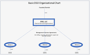 What Does This Dso Model Really Look Like Part 3 Of 6