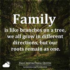 Quote wall decal online from wayfair, we make it as easy as possible for you to find out when your product will be delivered. Family Is Like Branches On A Tree We All Grow In Different Directions But Our Roots Remain As One