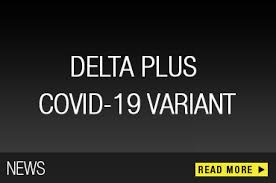 India has dubbed delta plus a variant of concern, and there are fears that it could potentially be more transmissible. Ppe Safety At Work Shoes Gloves Clothes Fall Arrest Helmets Respiratory Ear Defender Eyewear Delta Plus Products