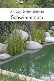 Schwimmteich Oder Pool 5 Kriterien Fur Ihre Entscheidung Schwimmteich Teich Schwimmen