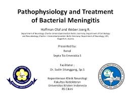 The meninges are connective tissue membranes that line the skull and vertebral column and enclose the brain and the spinal cord. Pathophysiology And Treatment Of Meningoencephalitis A Journal Read