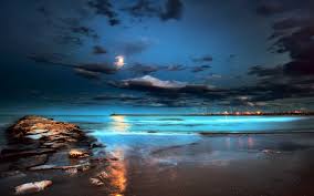 Maybe you would like to learn more about one of these? Free Download 1680x1050px Beach At Night Wallpaper 1680x1050 For Your Desktop Mobile Tablet Explore 27 Night Beach Wallpapers Beach Night Wallpapers Night Beach Wallpapers Beach At Night Wallpaper