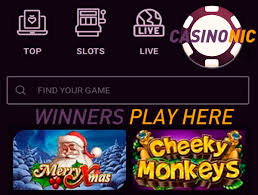 You can double up your winnings by beating the dealer in one among four cards. Top 5 Pokie Games Online Article Wwgdb