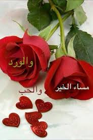 بطاقات مساء الخير صور رسائل مسائية دلع ورد