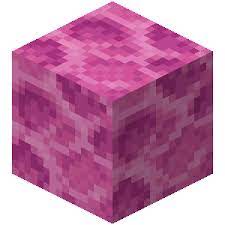 Maybe you would like to learn more about one of these? Block Official Minecraft Wiki