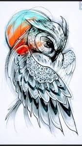 14 gambar sketsa tatto keren inspiratif terlengkap. Menakjubkan 29 Sketsa Tato Burung Hantu 986 Best Artistic Photography Images Beautiful Birds Gambar Tato Bu Tato Burung Hantu Gambar Desain Tato Sketsa Tato