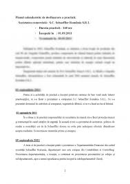Modul de constituire si functionare a entitatii economice; Referat Caiet De Practica Societatea Comerciala Sc Schaeffler Romania Srl 446486 Graduo