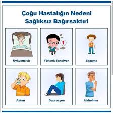 Saglik Bilgileri Panosundaki Pin