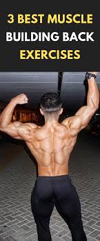 Cheat rows are brilliant for developing strength and have great carry over to lower to the starting position. 3 Best Muscle Building Back Exercises Fitness Bodybuilding Gym Back Workout Backexercises Back Workout Bodybuilding Back Exercises Back Workout Routine
