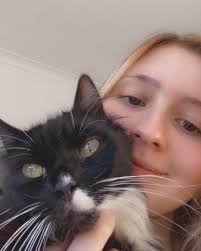 Search for lost cat Oliver in the neighborhood