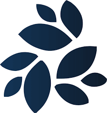 We stumbled upon coinapi and it changed everything. New Kind Of Network Nkn Price To Usd Live Value Today Coinranking