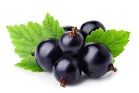 Produits Pour La Transformation Metral Fruits