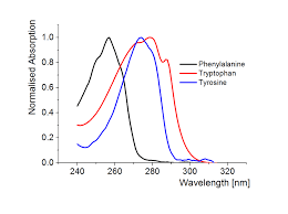 25 Normalised Uv Vis Absorption Of The Fluorescent Amino Acids Download Scientific Diagram