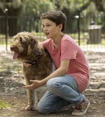 If you spend a lot of time searching for a decent movie, searching tons of sites that are. Think Like A Dog 2020 Official Movie Lionsgate