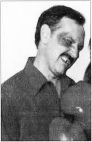 Mosquito carries disease