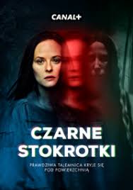 PL - CZARNE STOKROTKI
