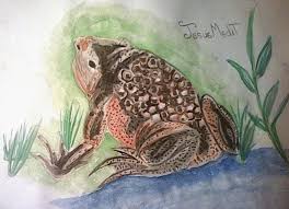 Boca is a suriname pacman frog. Suriname Toad Step By Step Gif Animation Original Hive