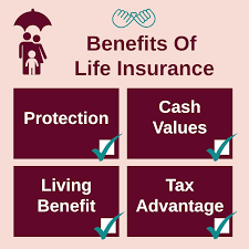 The type of life insurance you buy is a big decision, and there are a couple of different kinds from which to choose. Life Insurance Statistics Philippines Insurance