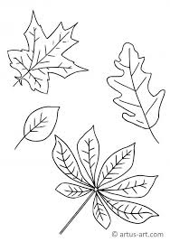 Herbst Blatter Ausmalbild Gratis Ausdrucken Ausmalen Artus Art
