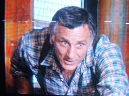 Rewatching Stargate SG1 and The Littlest Hobo Episodes