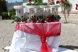 Dieser brauch steht für das glück und den wohlstand des brautpaares. Hochzeitstauben Tierleid In Schoner Verpackung Unser Blog