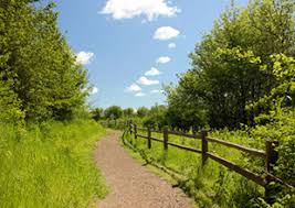 Jackson bottom wetlands trail map. Visit Jackson Bottom Wetlands Preserve City Of Hillsboro Or